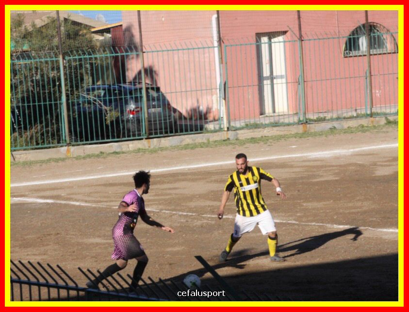 190310 Cephal_Torrenov 163_tn.jpg